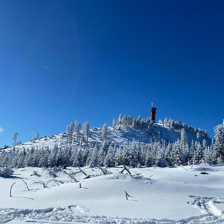 Willa Bergtraum Braunlage Im Harz, 17 Gaeste, Sauna, Pool Zewnętrze zdjęcie