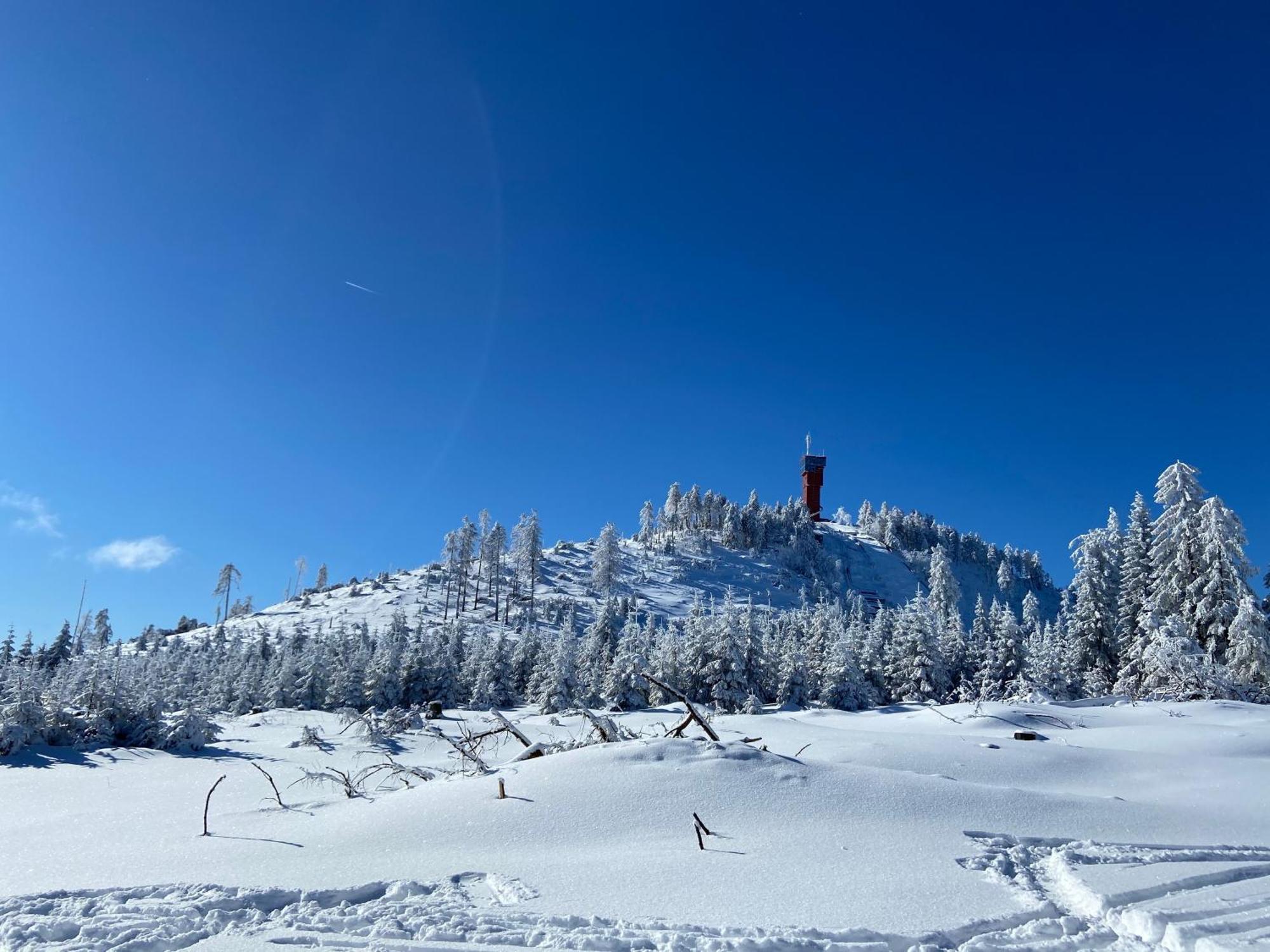 Willa Bergtraum Braunlage Im Harz, 17 Gaeste, Sauna, Pool Zewnętrze zdjęcie