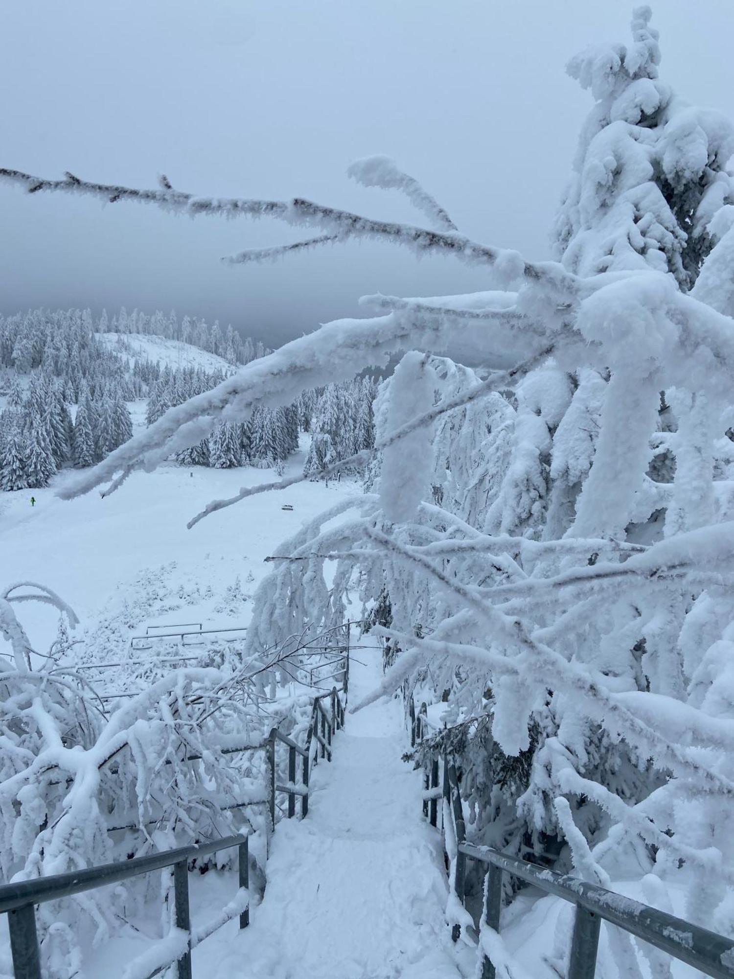 Willa Bergtraum Braunlage Im Harz, 17 Gaeste, Sauna, Pool Zewnętrze zdjęcie