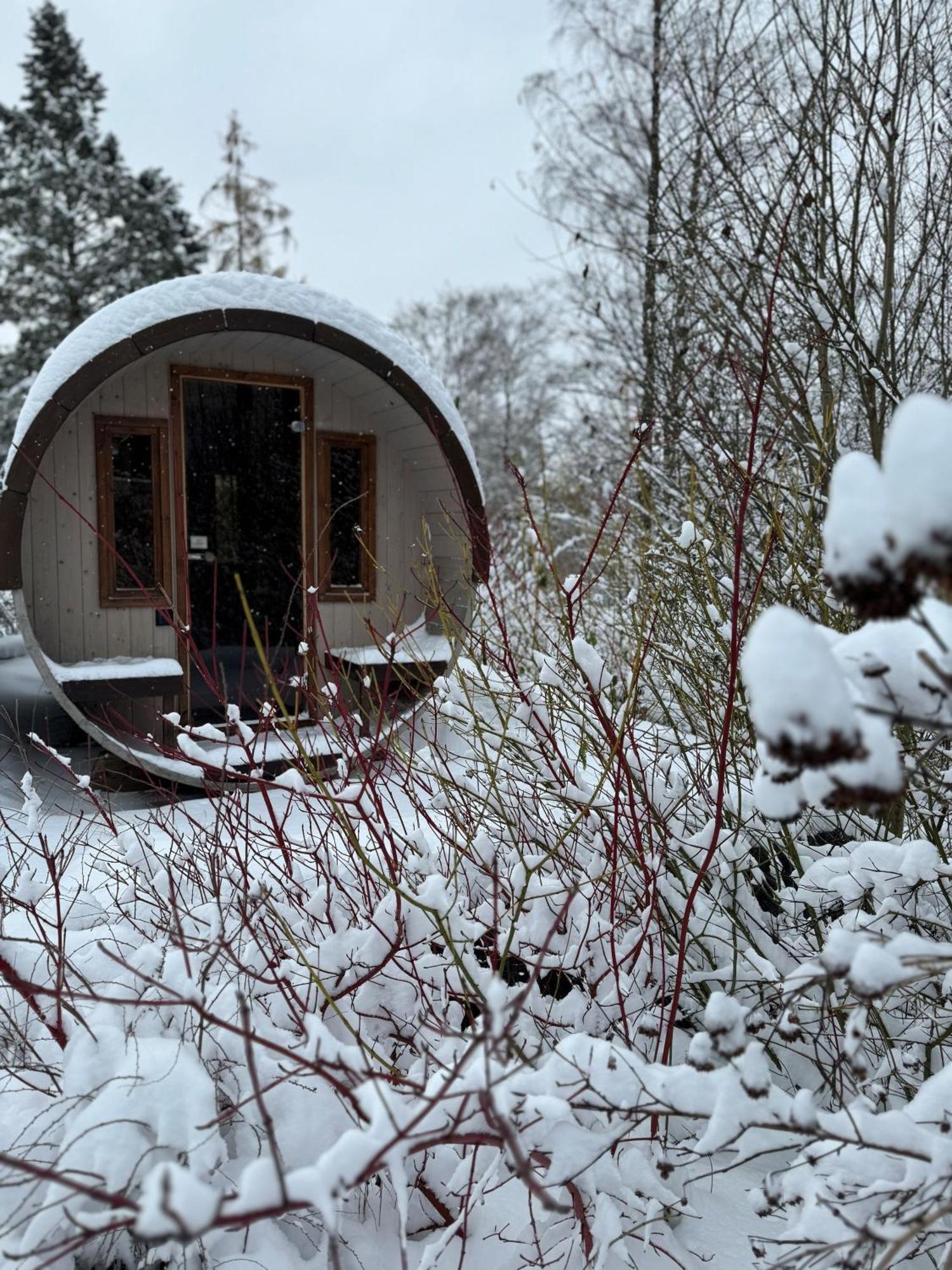 Willa Bergtraum Braunlage Im Harz, 17 Gaeste, Sauna, Pool Zewnętrze zdjęcie