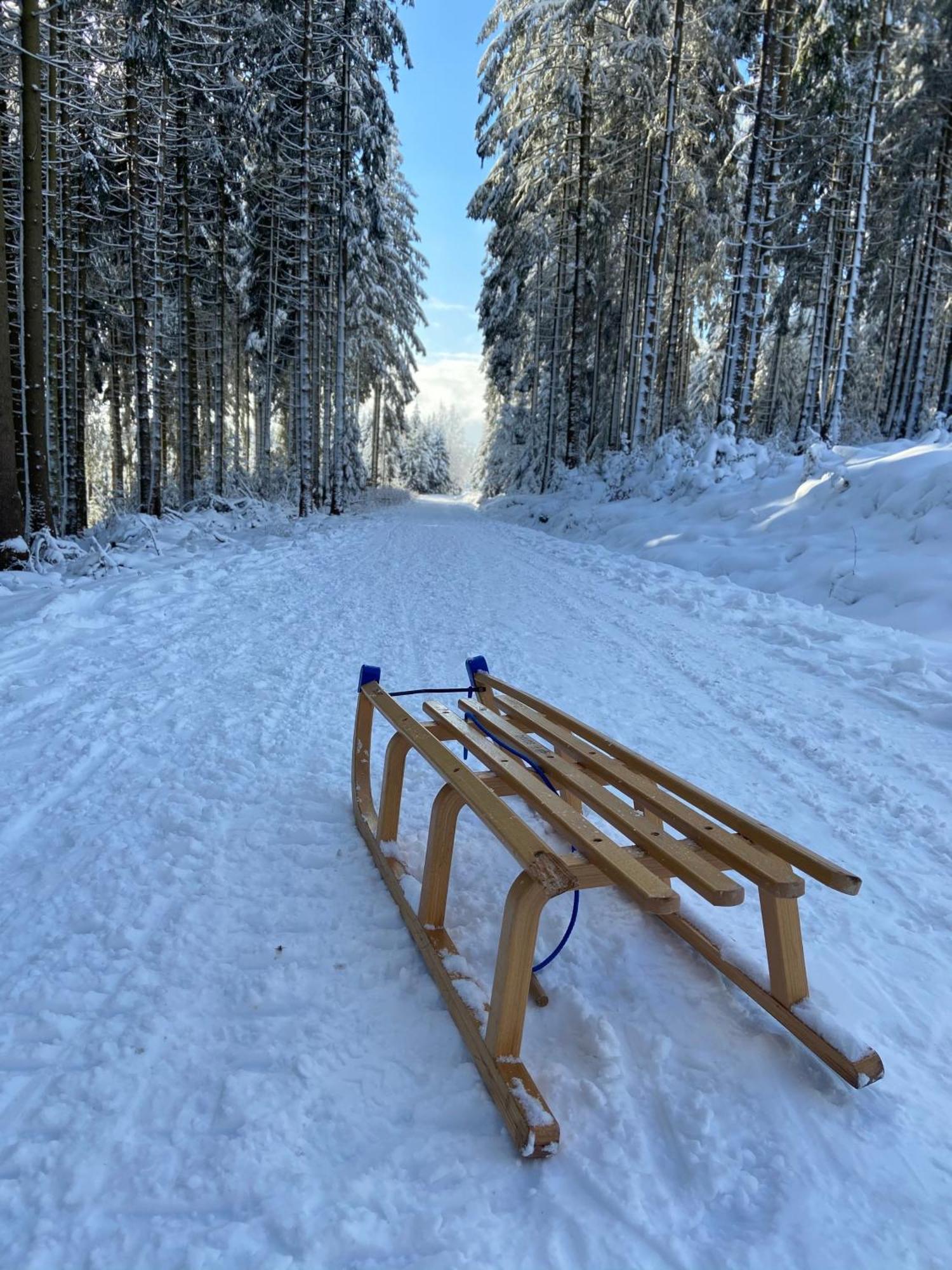 Willa Bergtraum Braunlage Im Harz, 17 Gaeste, Sauna, Pool Zewnętrze zdjęcie